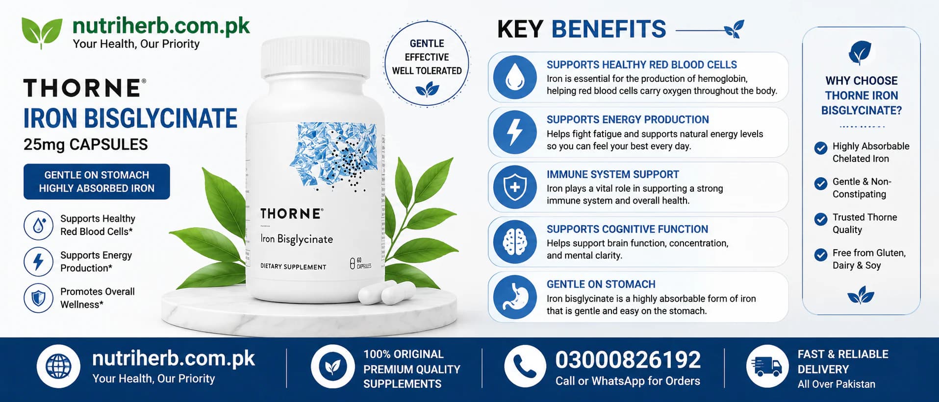 Thorne Iron Bisglycinate 25mg Capsules - key benefits